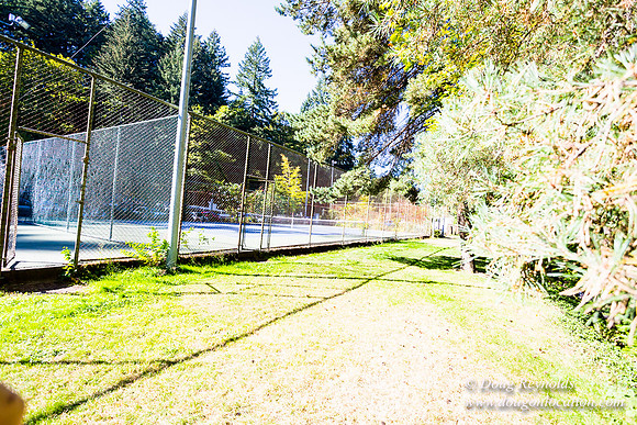Washington Park Tennis Courts