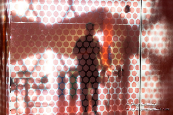 Seattle Library
