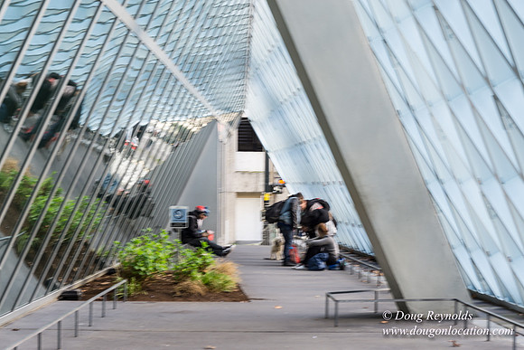 Seattle Library