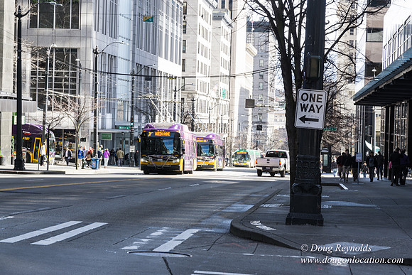 Sreets & Buildings Seattle