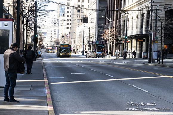 Sreets & Buildings Seattle