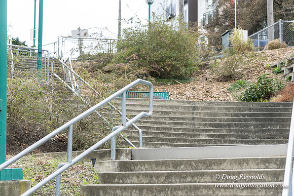 Wallingford Steps