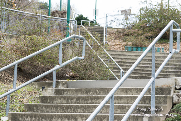 Wallingford Steps