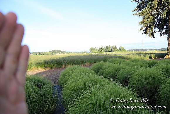Toms Rd Side-6374