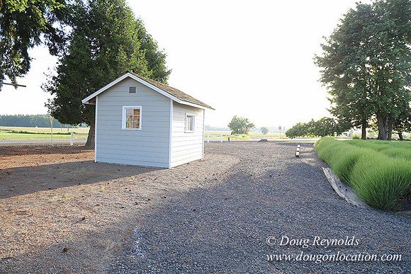 Toms Rd Side-6394