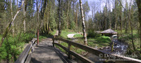 Wildwood Fish Watch Trails