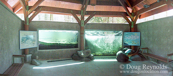 Wildwood Fish Watch Trails