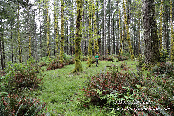 Ross on Fairview Mt Rd-1831