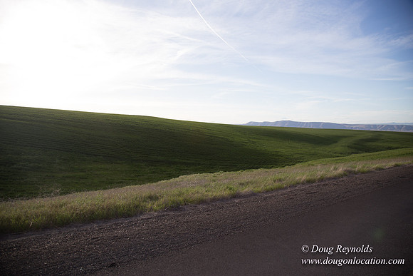 Eastern OR Wheat Rds