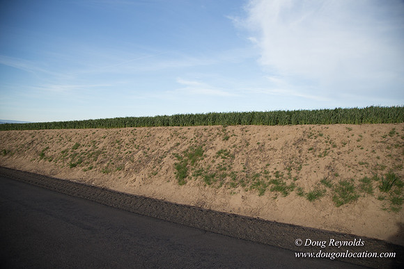 Eastern OR Wheat Rds
