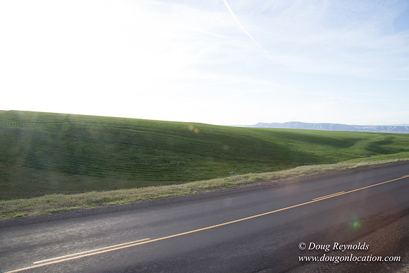 Eastern OR Wheat Rds