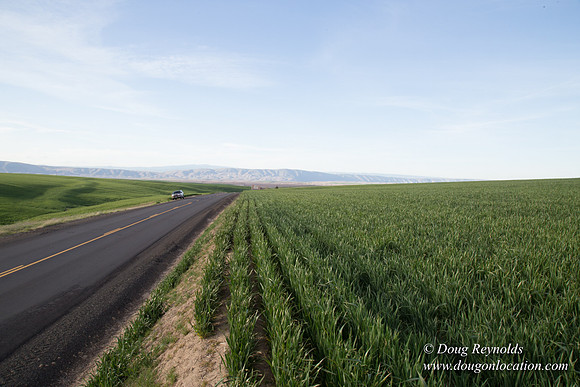 Eastern OR Wheat Rds
