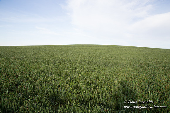 Eastern OR Wheat Rds