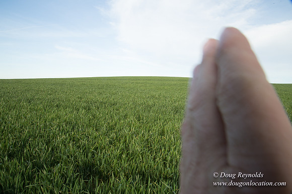 Eastern OR Wheat Rds