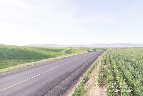 Eastern OR Wheat Rds