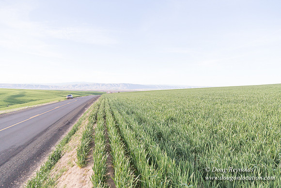 Eastern OR Wheat Rds