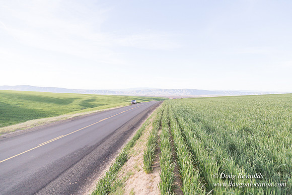 Eastern OR Wheat Rds