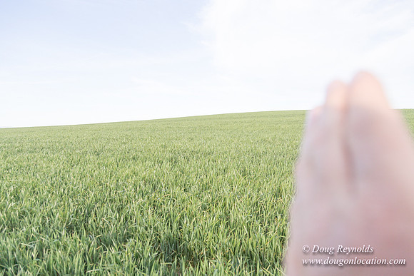 Eastern OR Wheat Rds