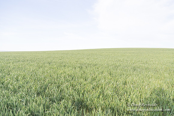 Eastern OR Wheat Rds