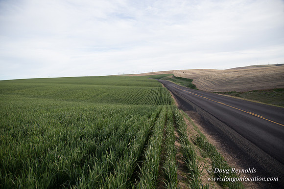 Eastern OR Wheat Rds