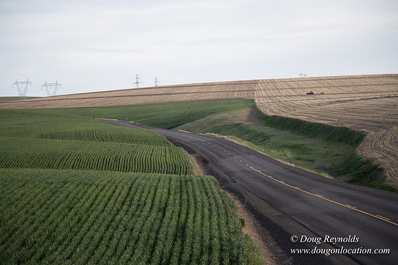 Eastern OR Wheat Rds