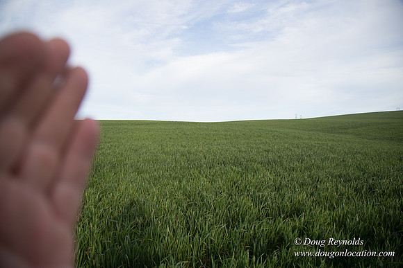 Eastern OR Wheat Rds