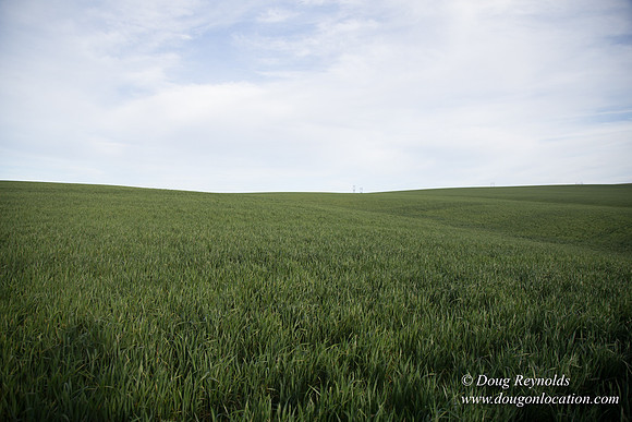 Eastern OR Wheat Rds
