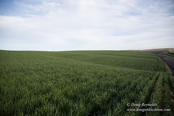 Eastern OR Wheat Rds