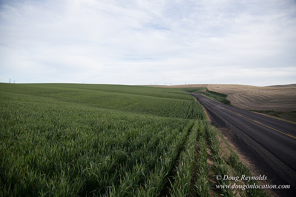 Eastern OR Wheat Rds