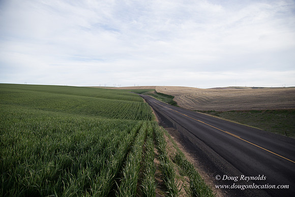 Eastern OR Wheat Rds