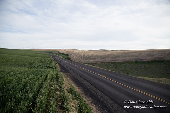 Eastern OR Wheat Rds