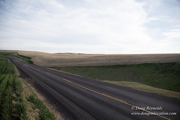 Eastern OR Wheat Rds