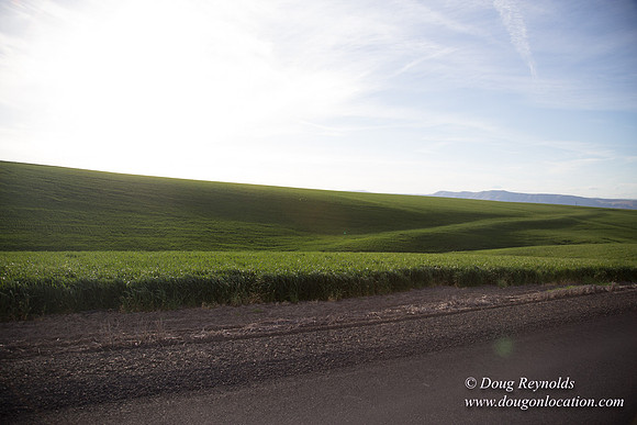 Eastern OR Wheat Rds