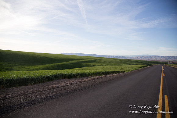 Eastern OR Wheat Rds