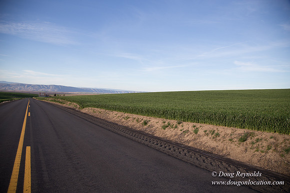 Eastern OR Wheat Rds