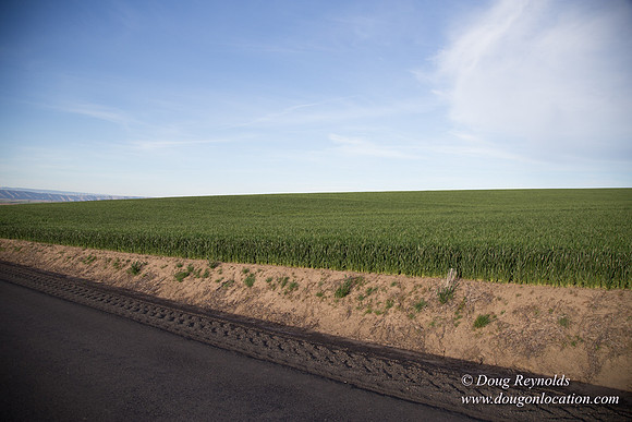 Eastern OR Wheat Rds