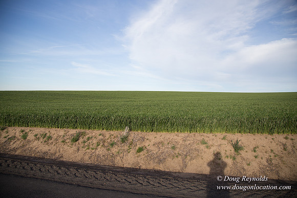 Eastern OR Wheat Rds