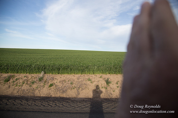 Eastern OR Wheat Rds