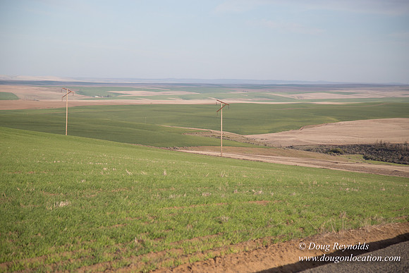 Eastern OR Wheat Rds