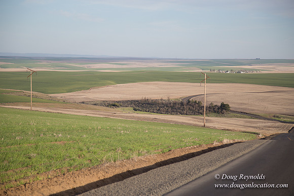 Eastern OR Wheat Rds