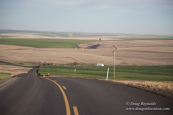 Eastern OR Wheat Rds