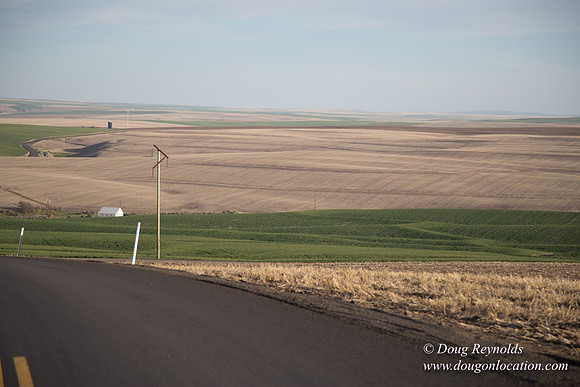 Eastern OR Wheat Rds