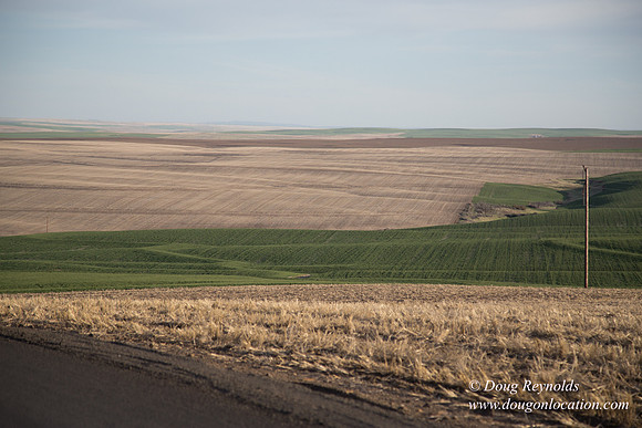 Eastern OR Wheat Rds