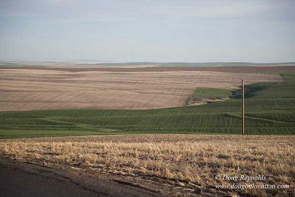 Eastern OR Wheat Rds