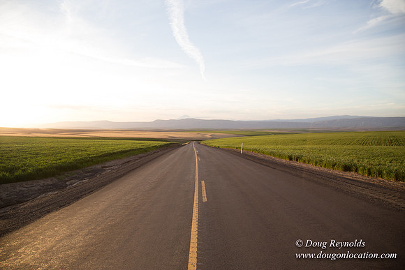 Eastern OR Wheat Rds