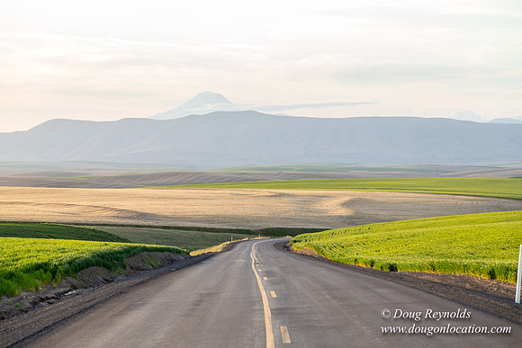 Eastern OR Wheat Rds