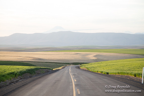 Eastern OR Wheat Rds