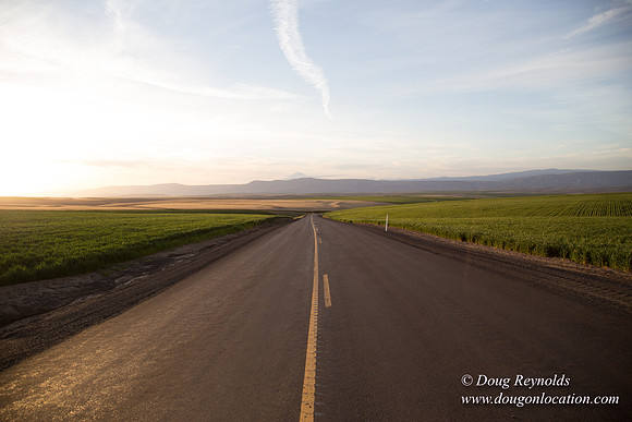 Eastern OR Wheat Rds
