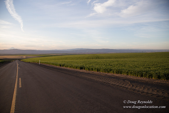 Eastern OR Wheat Rds