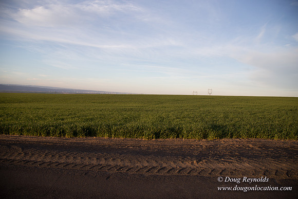 Eastern OR Wheat Rds
